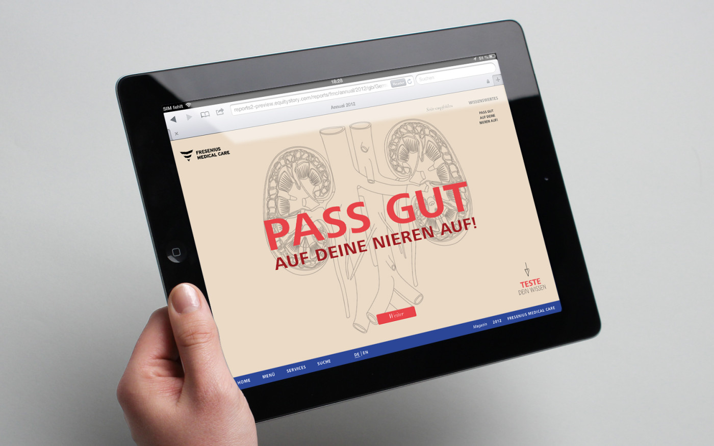 Fresenius Medical Care Geschäftsbericht 2012 (11)