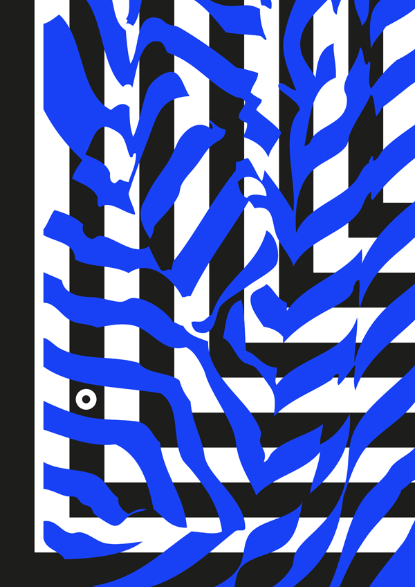 Z is for Zebra ()