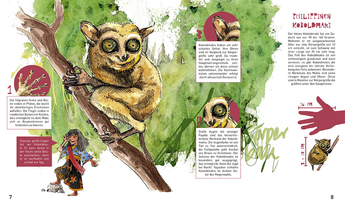 Philippinischer Koboldmaki – Lexikon ()