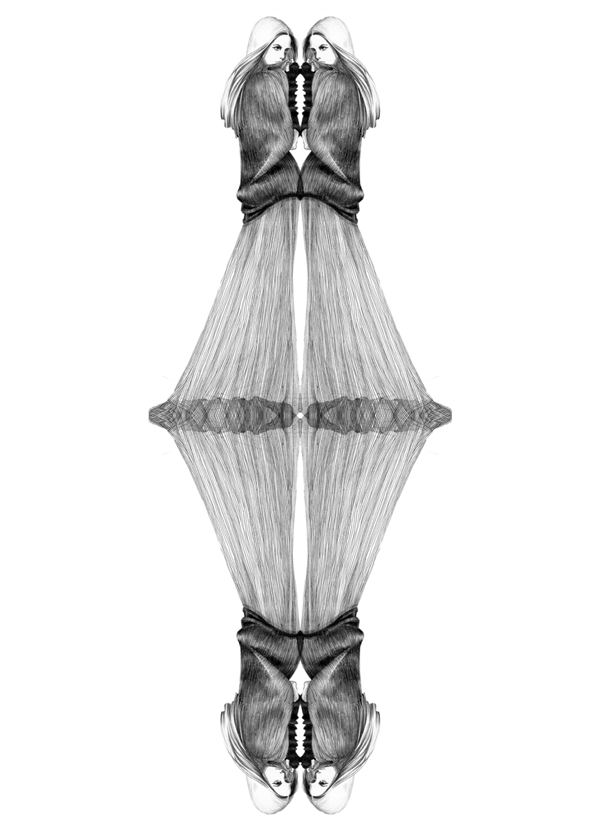 Symmetrie (1)