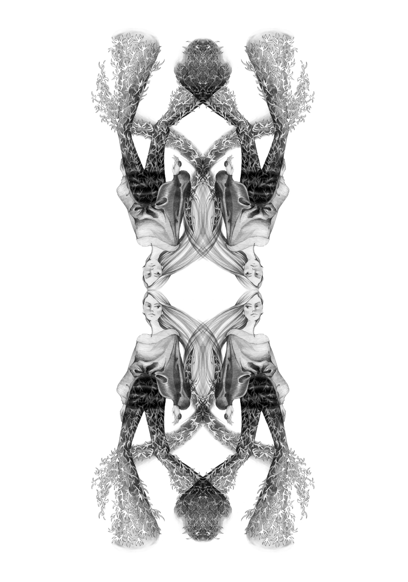 Symmetrie (3)