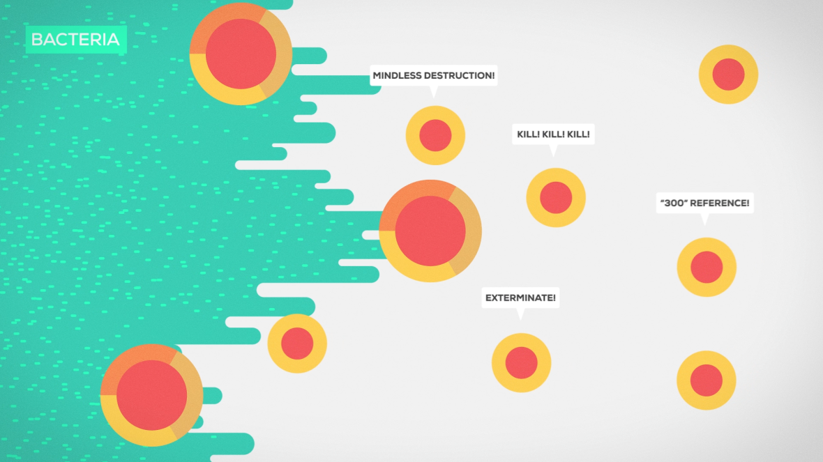 The Immune System Explained (11)