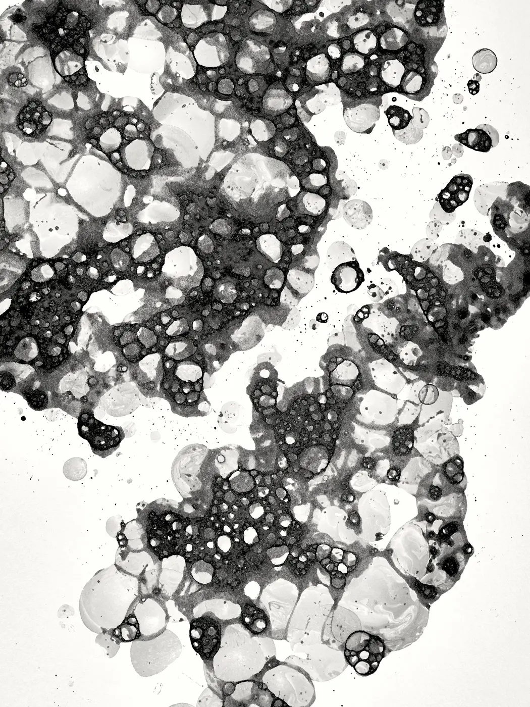 sfvr-schaumpilz-johannes-siebler