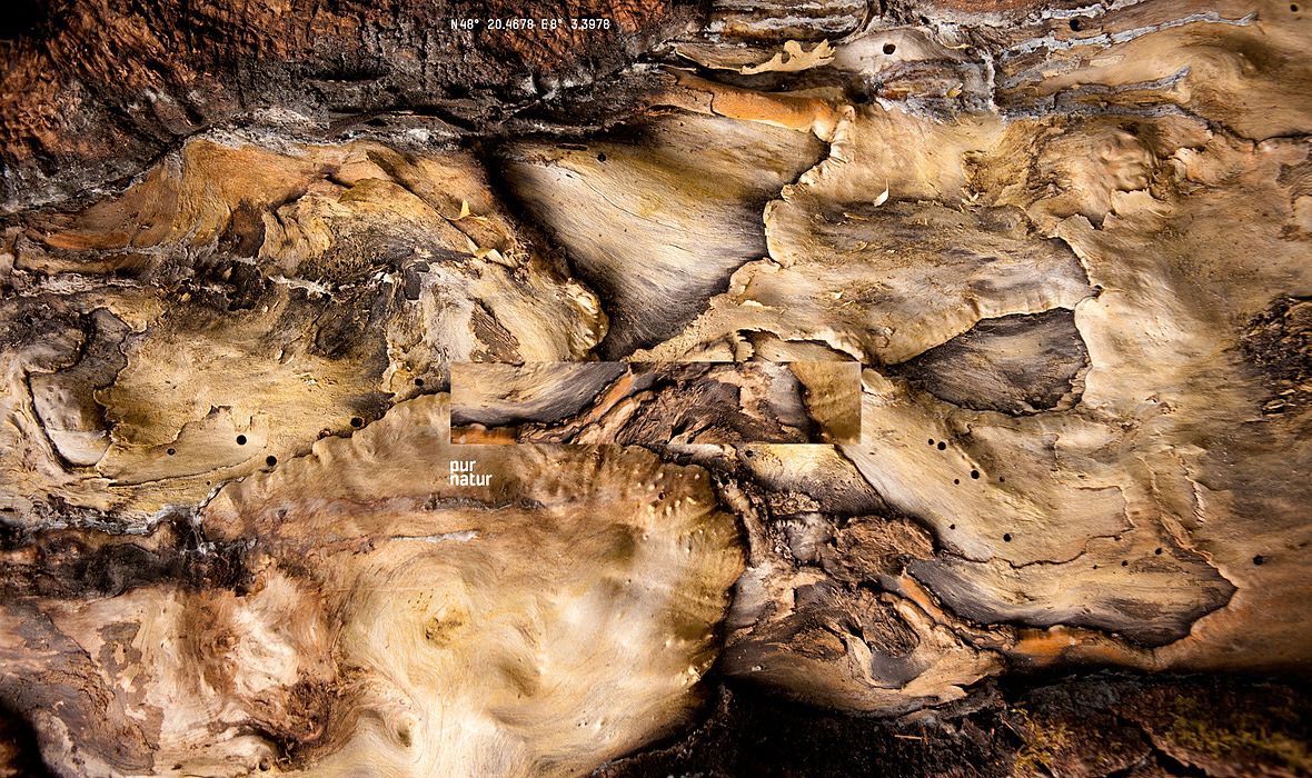 Pur Natur (15)