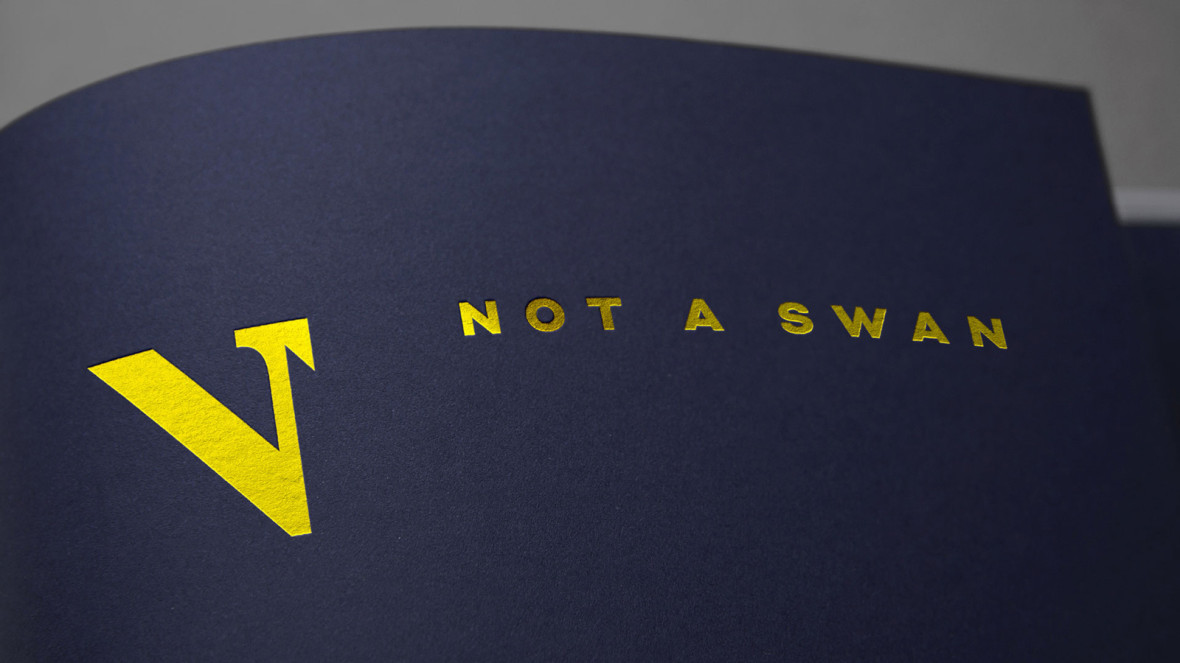 Not A Swan – Brand Identity (1)