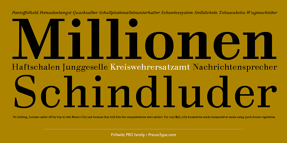 Prillwitz Pro – Font Family (3)