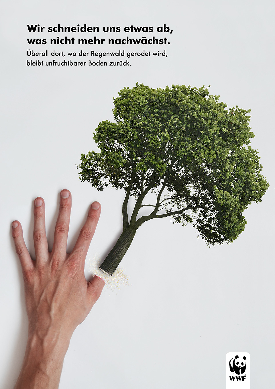 WWF – Regenwald ()