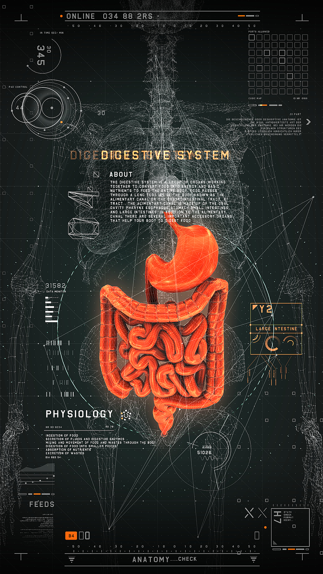 Interaktives Medizinisches Userinterface (2)