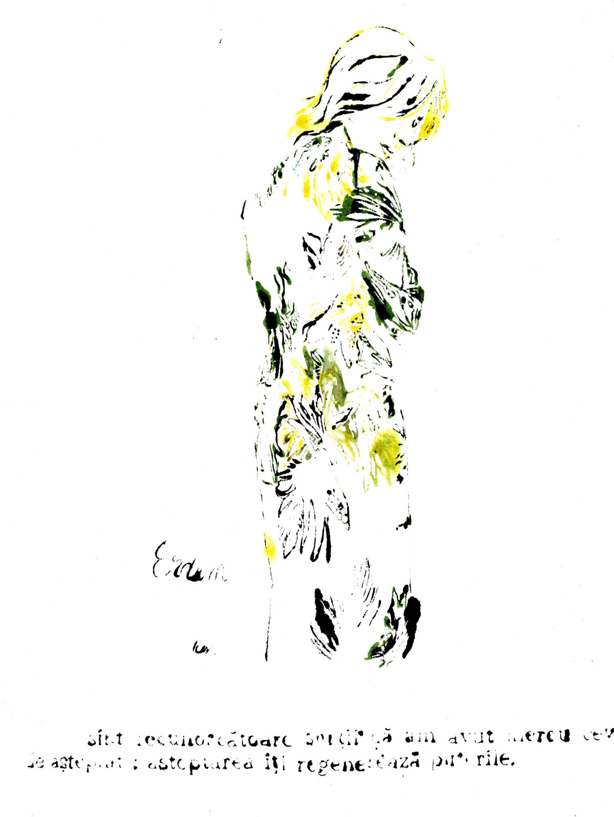 Erdem ()