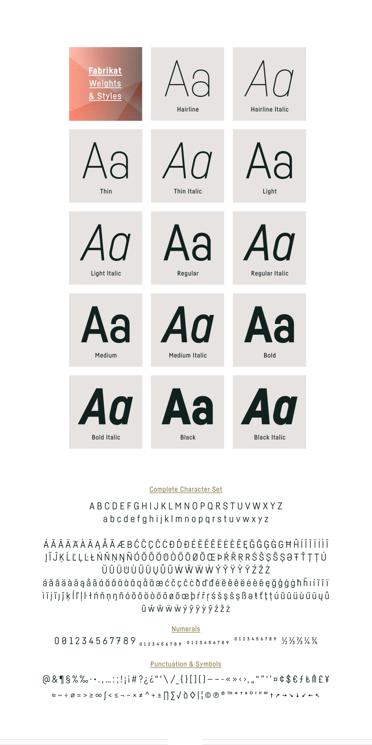 Fabrikat Type Family (3)