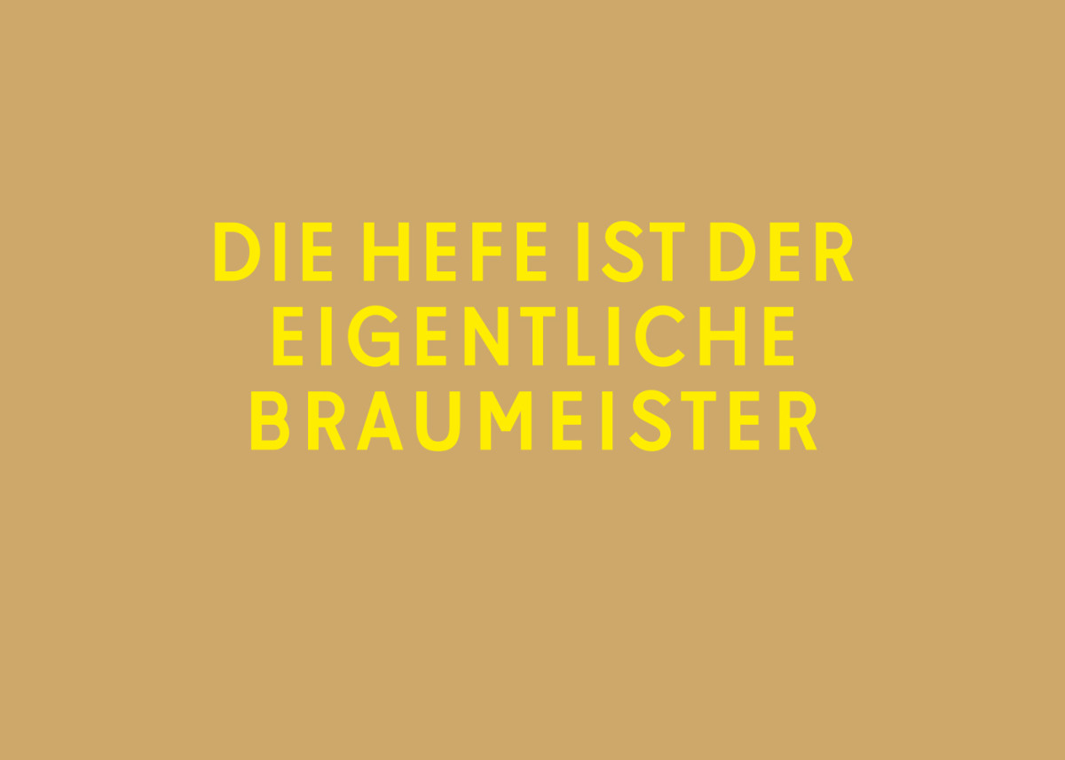 Pils mit Rieslingsekt (6)