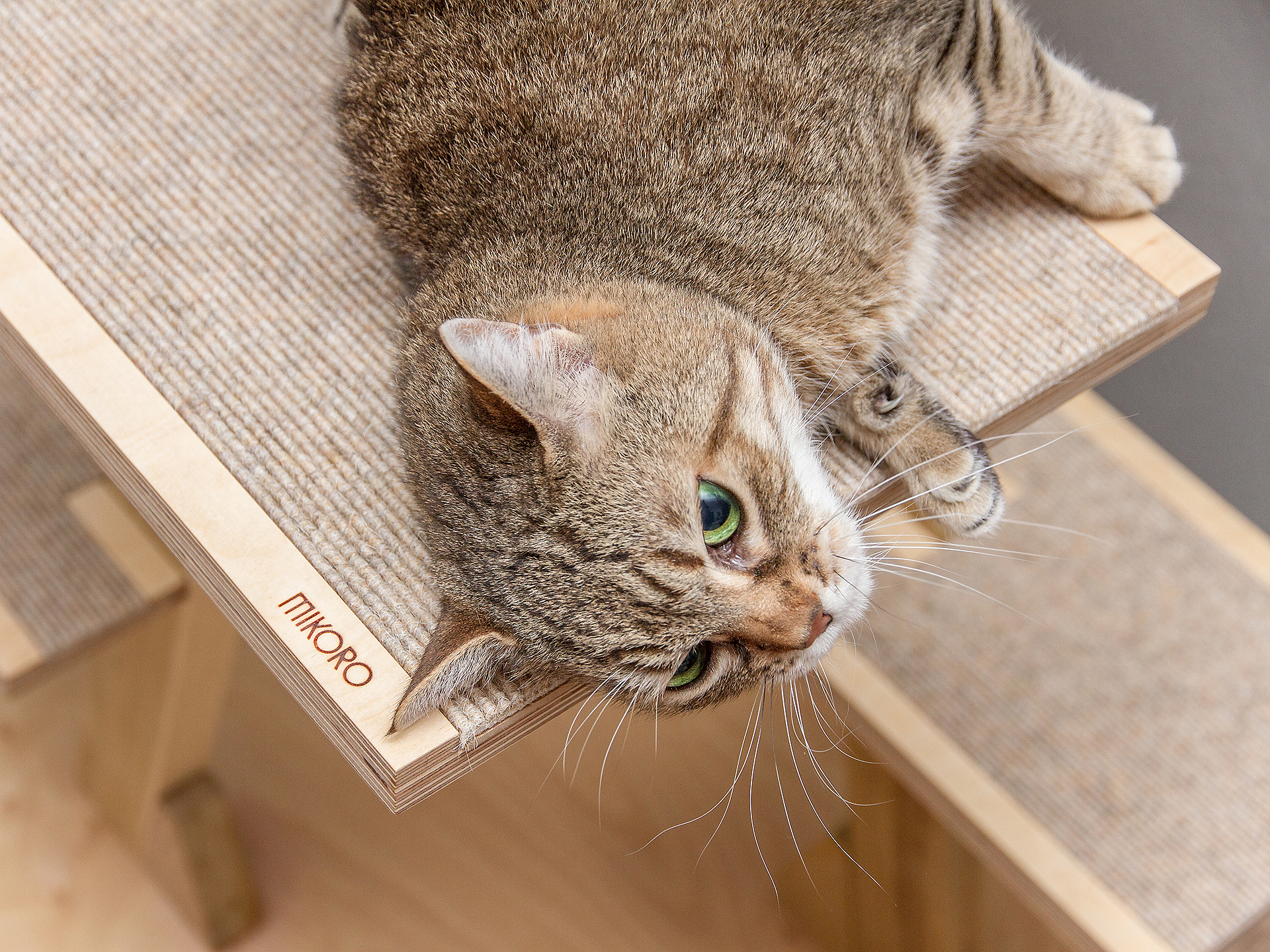 Mikoro – Home is where the Haustier is (4)