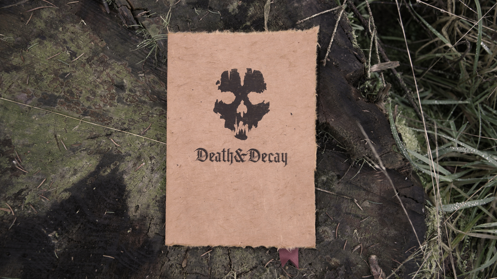 Death & Decay (3)