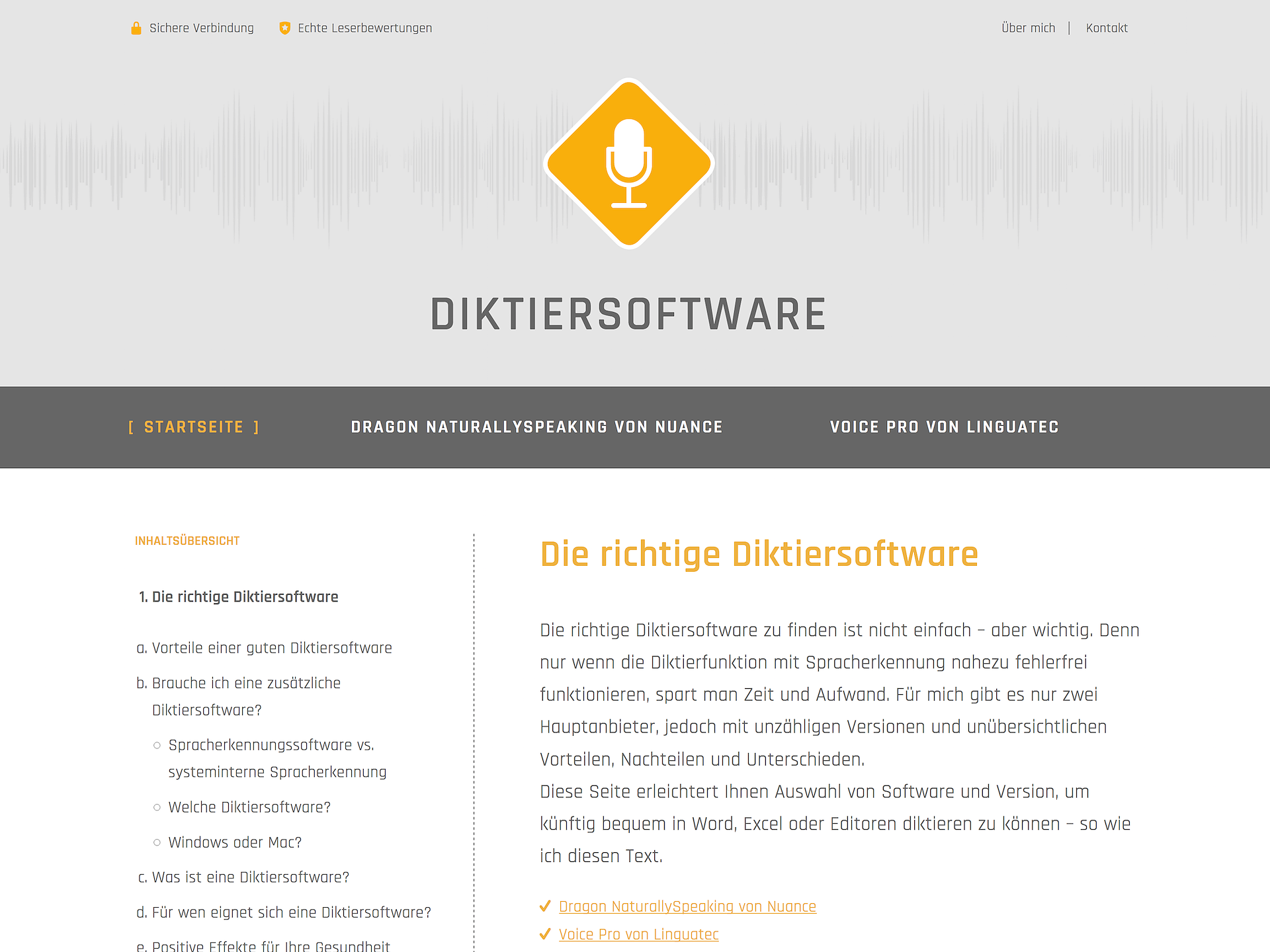 Diktiersoftware.info ()