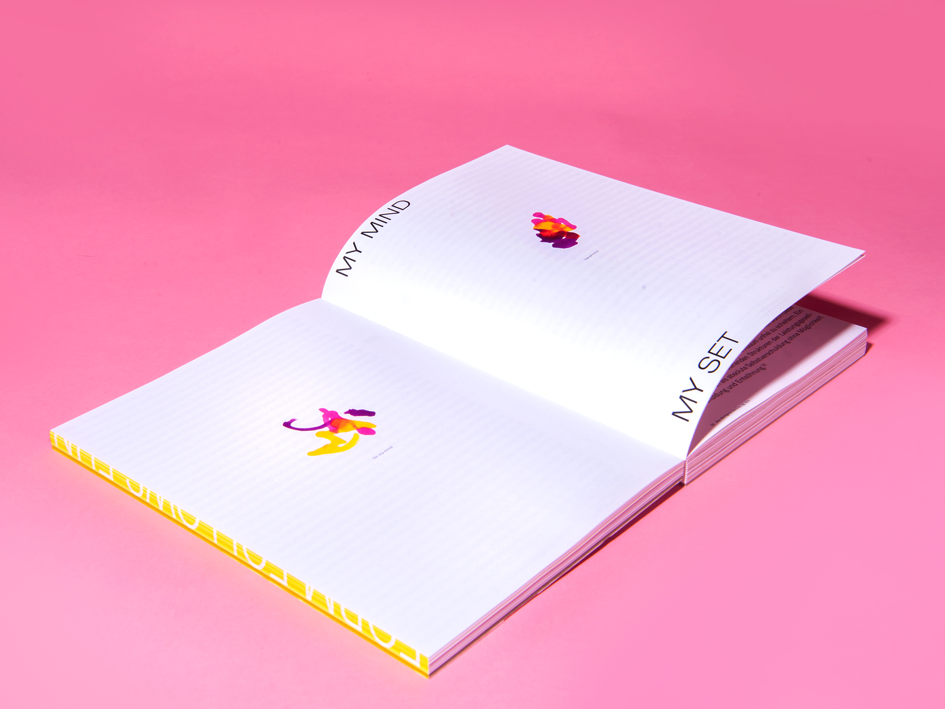 Designing the Disaster – The Book (5)