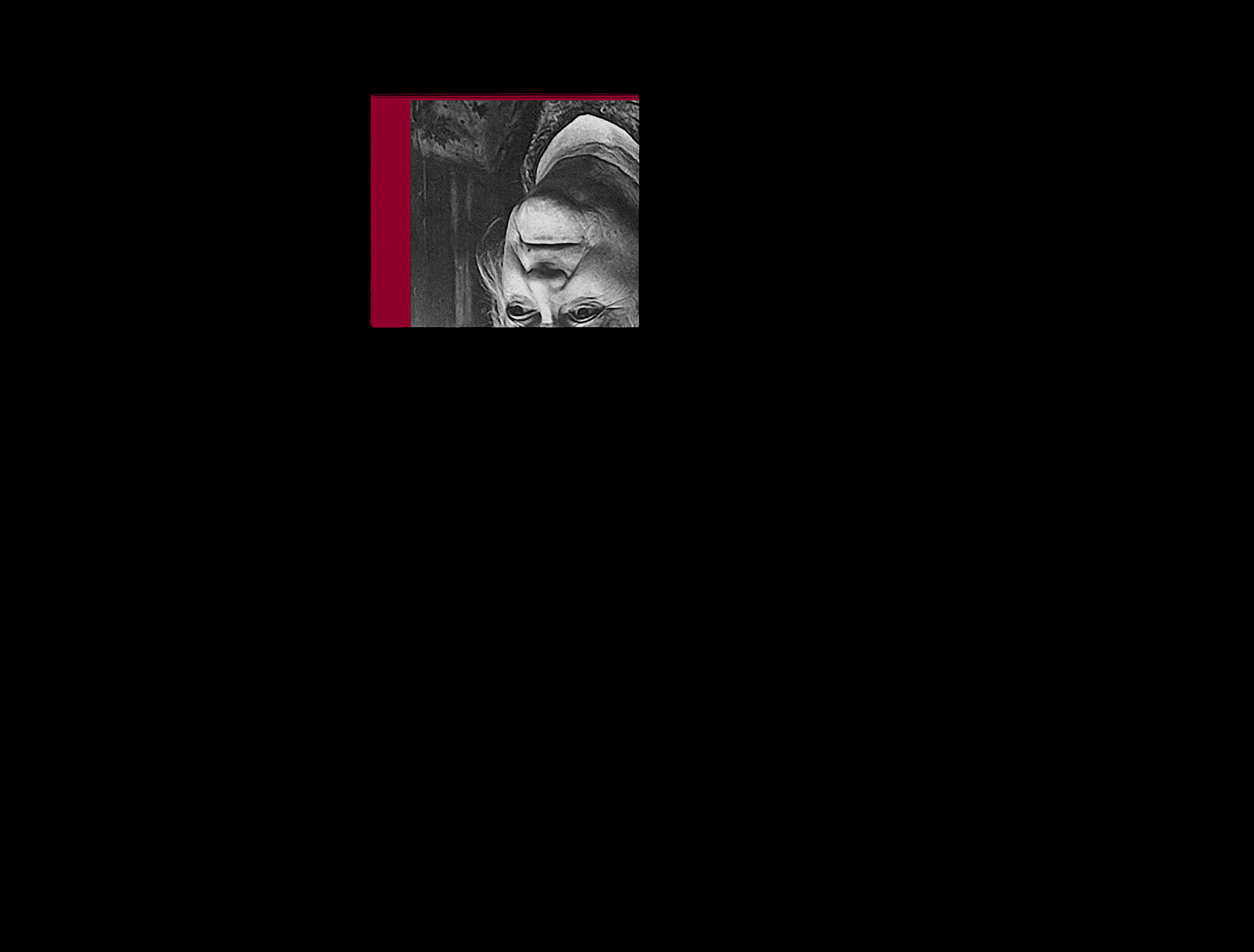 Clara Zetkin, Erinnerungen an Lenin (5)