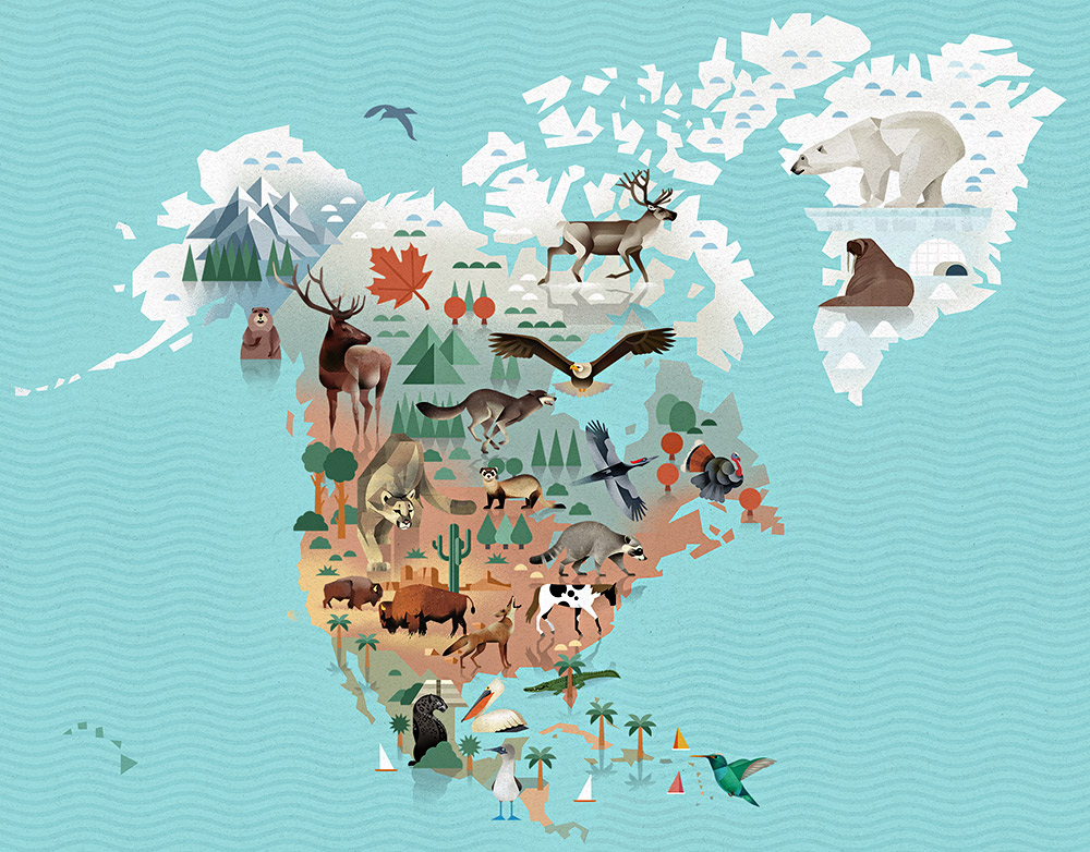 Die Welt der Tiere