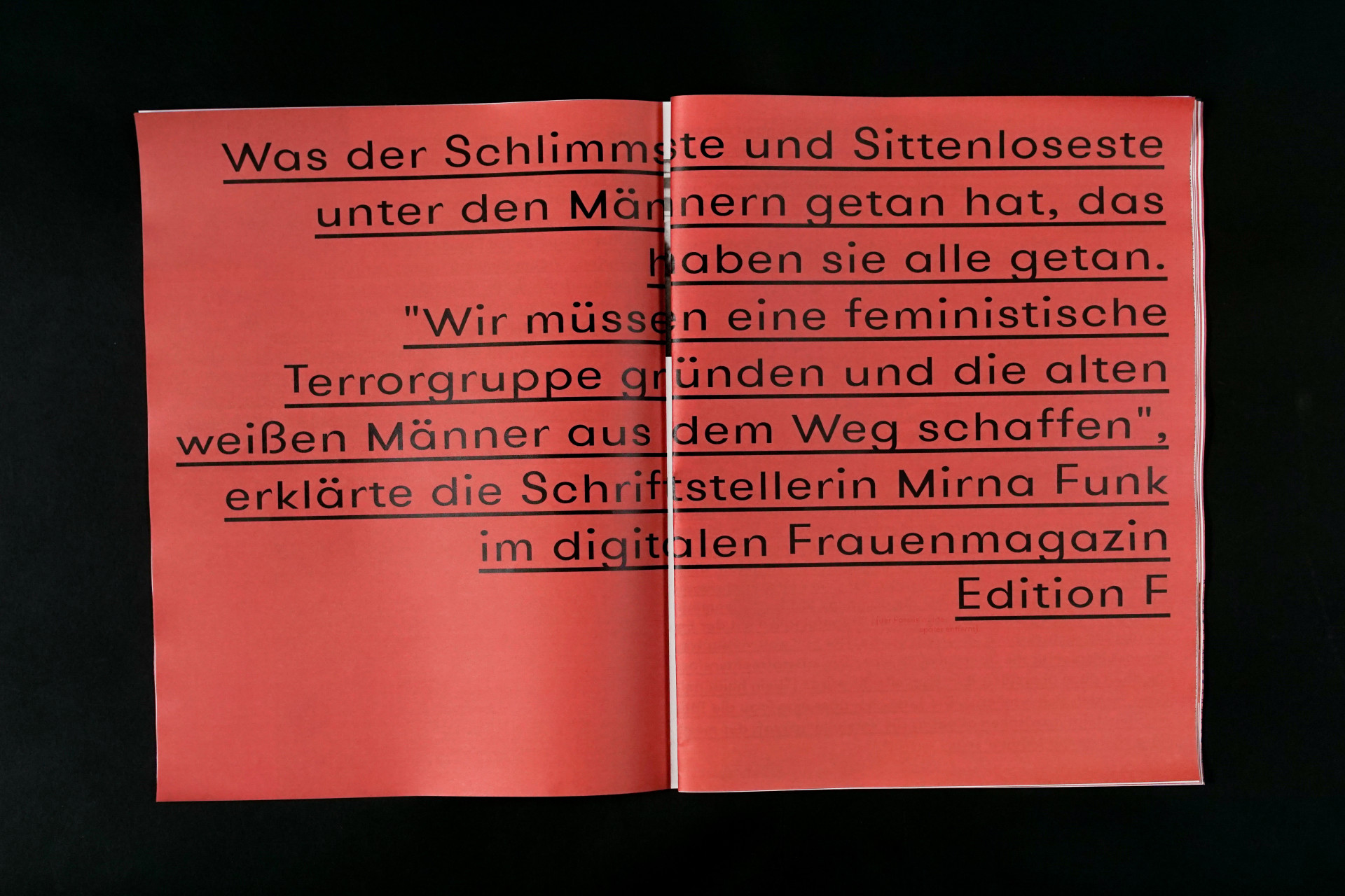 Treibjagd Magazin 01 (7)