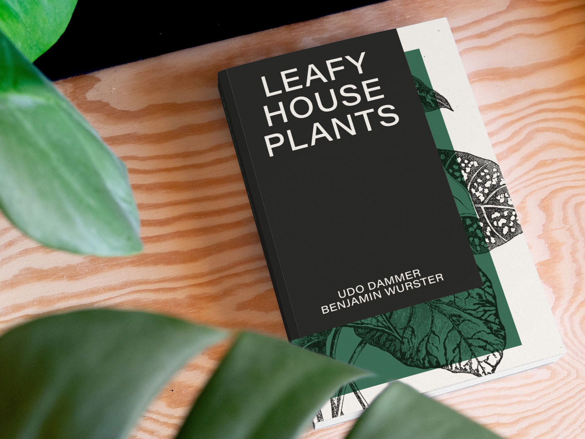 Leafy House Plants (16)