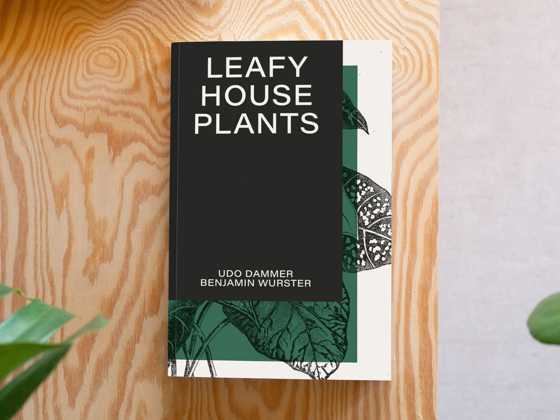 Leafy House Plants (2)