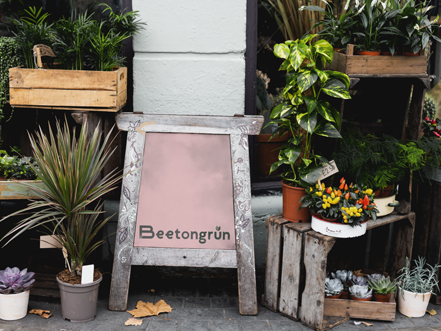 Beetongrün Branding (5)