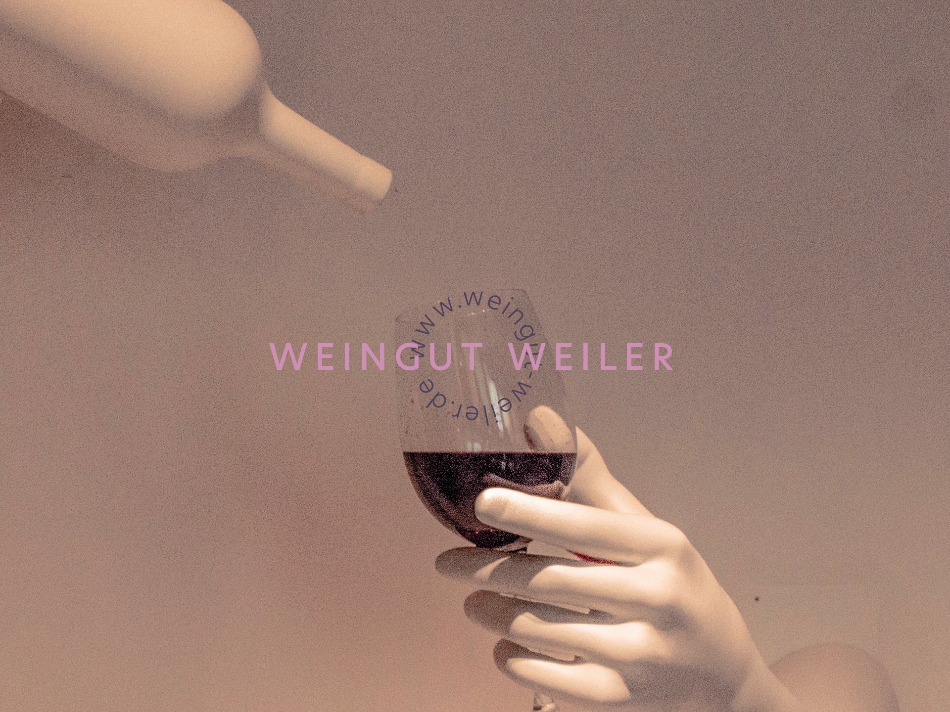 Freies Projekt fürs Weingut Weiler (1)