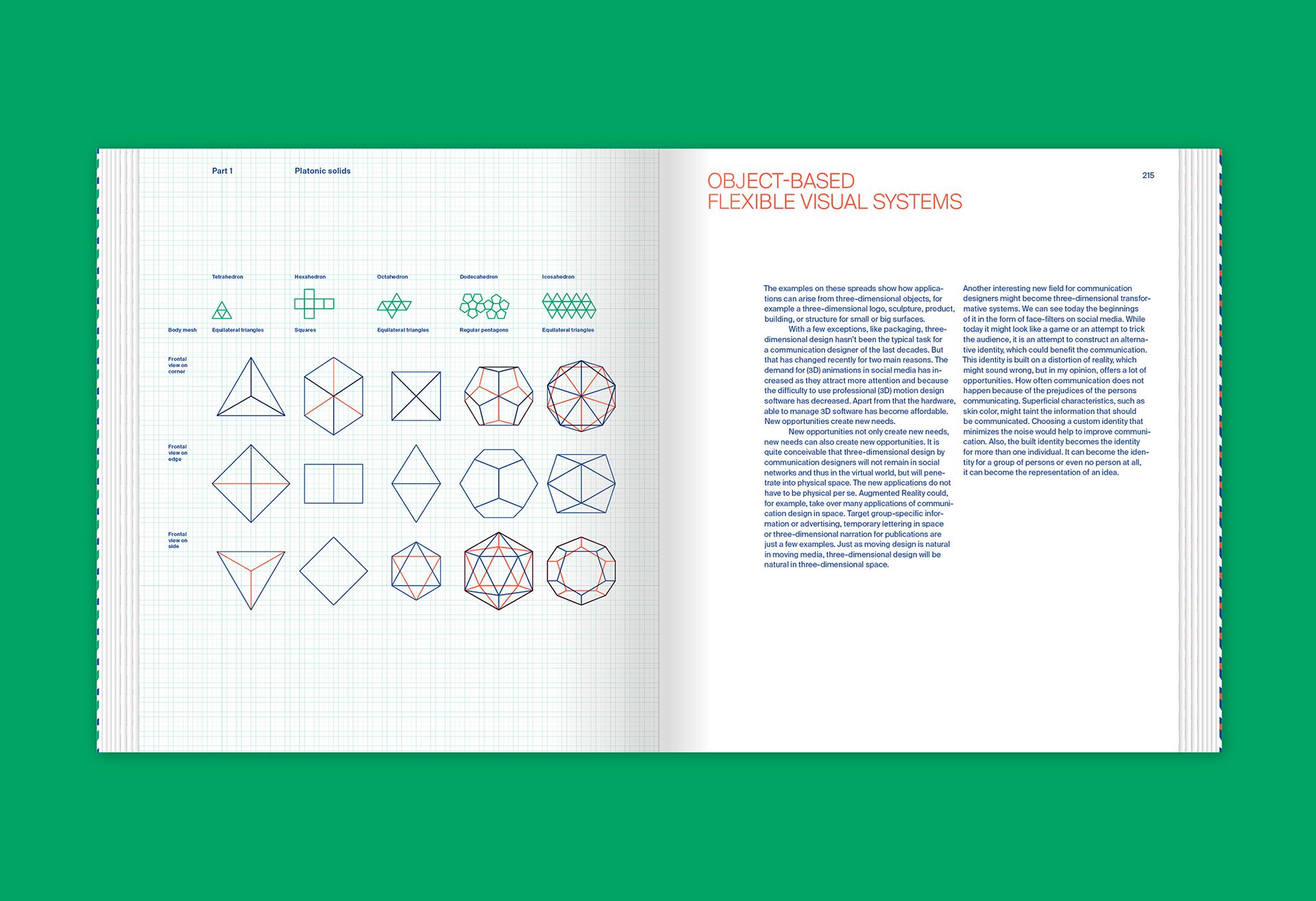 Flexible Visual Systems (13)