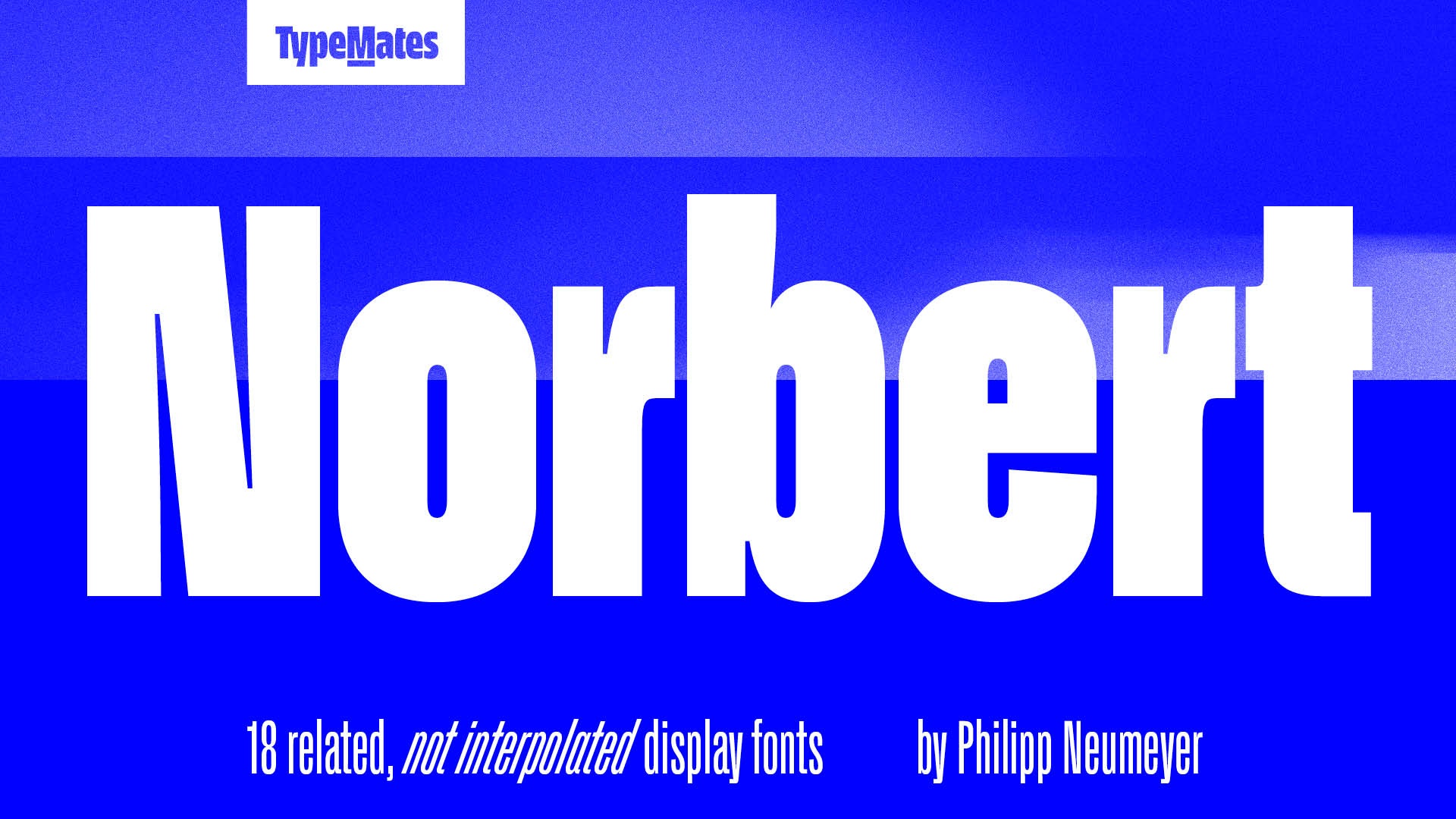 Norbert (1)