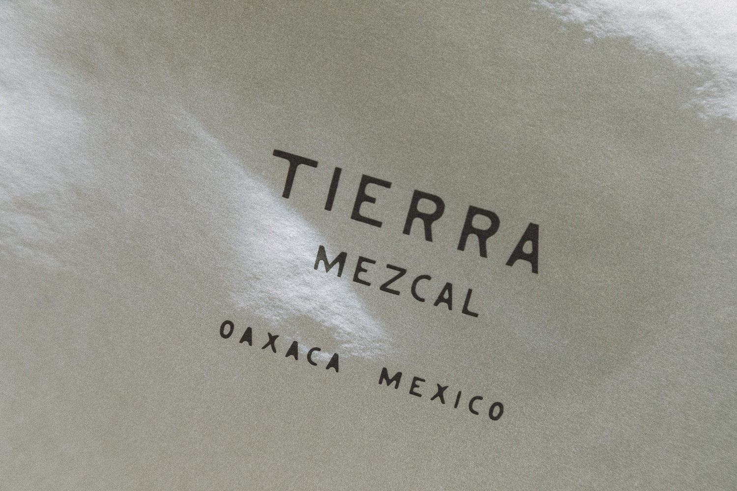 Tierra Mezvcal (10)