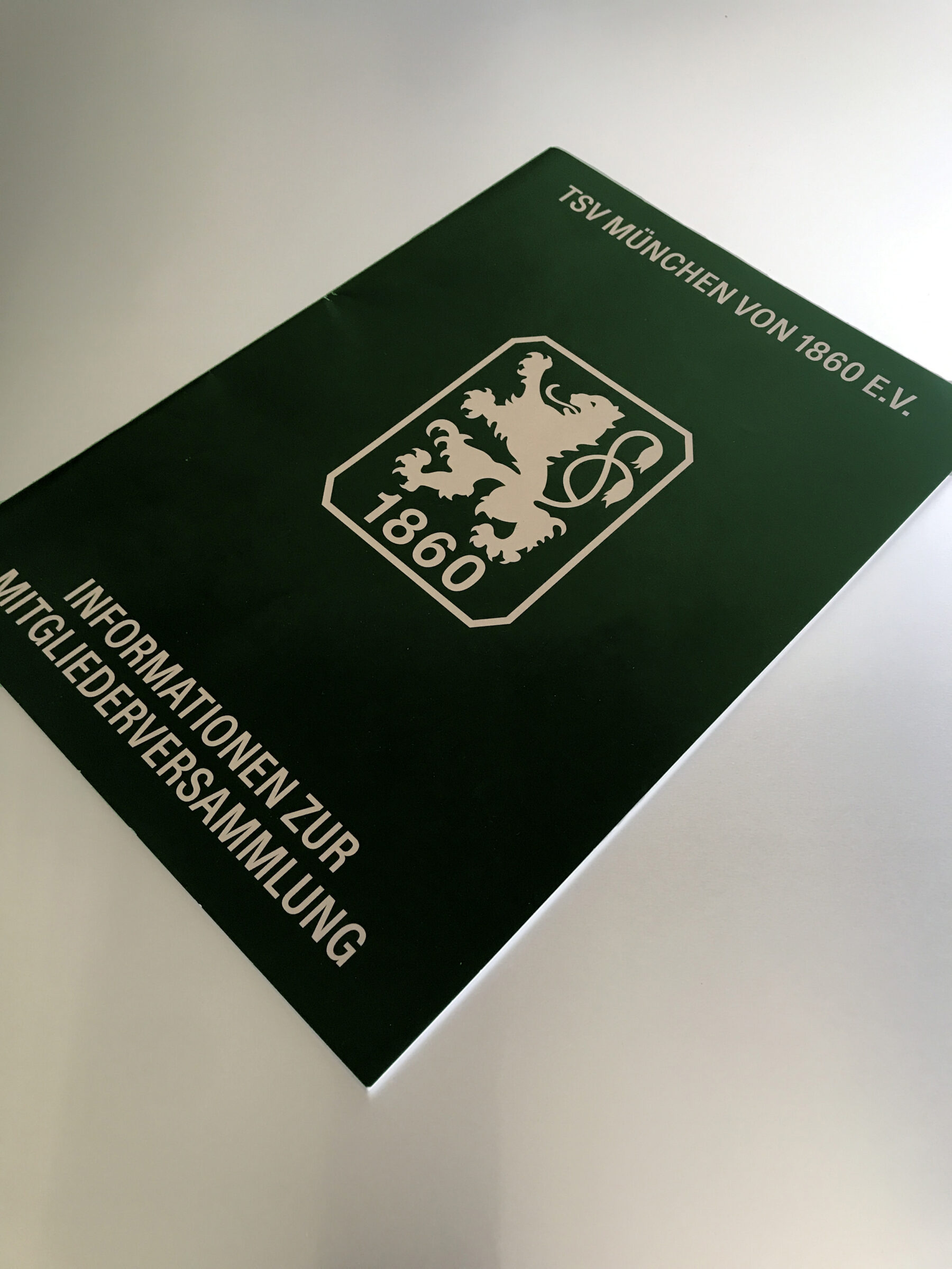 TSV 1860 e.V. Identity (18)