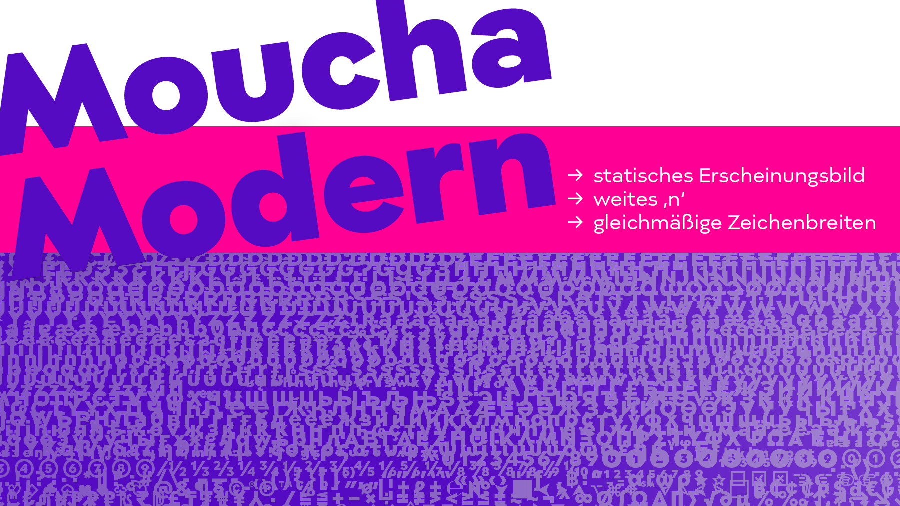 Moucha (15)