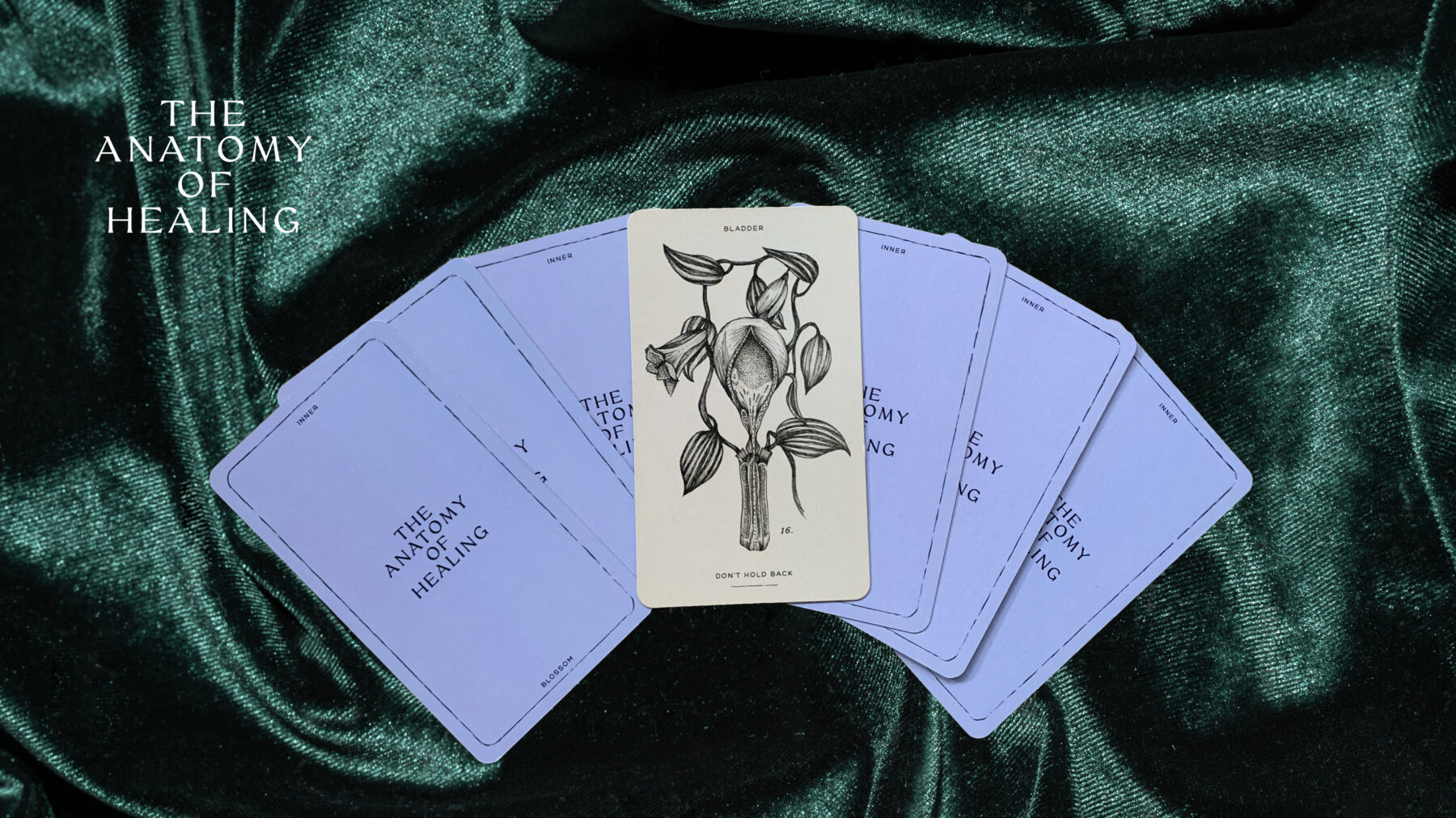 The Anatomy of Healing — Ein Karten Deck für Selbstreflexion (3)