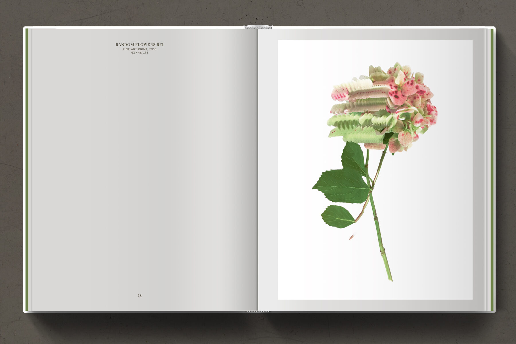 Floral Works by Felix Dobbert (3)
