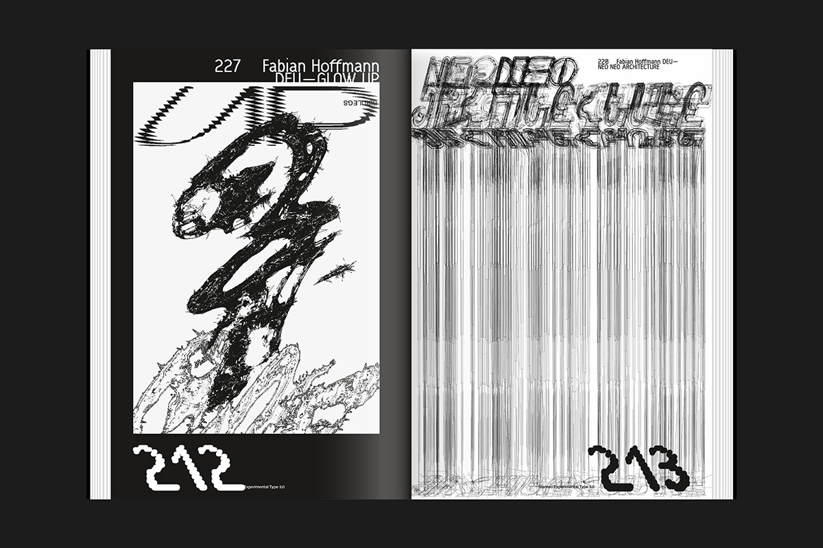 Experimental Type 3.0 (15)