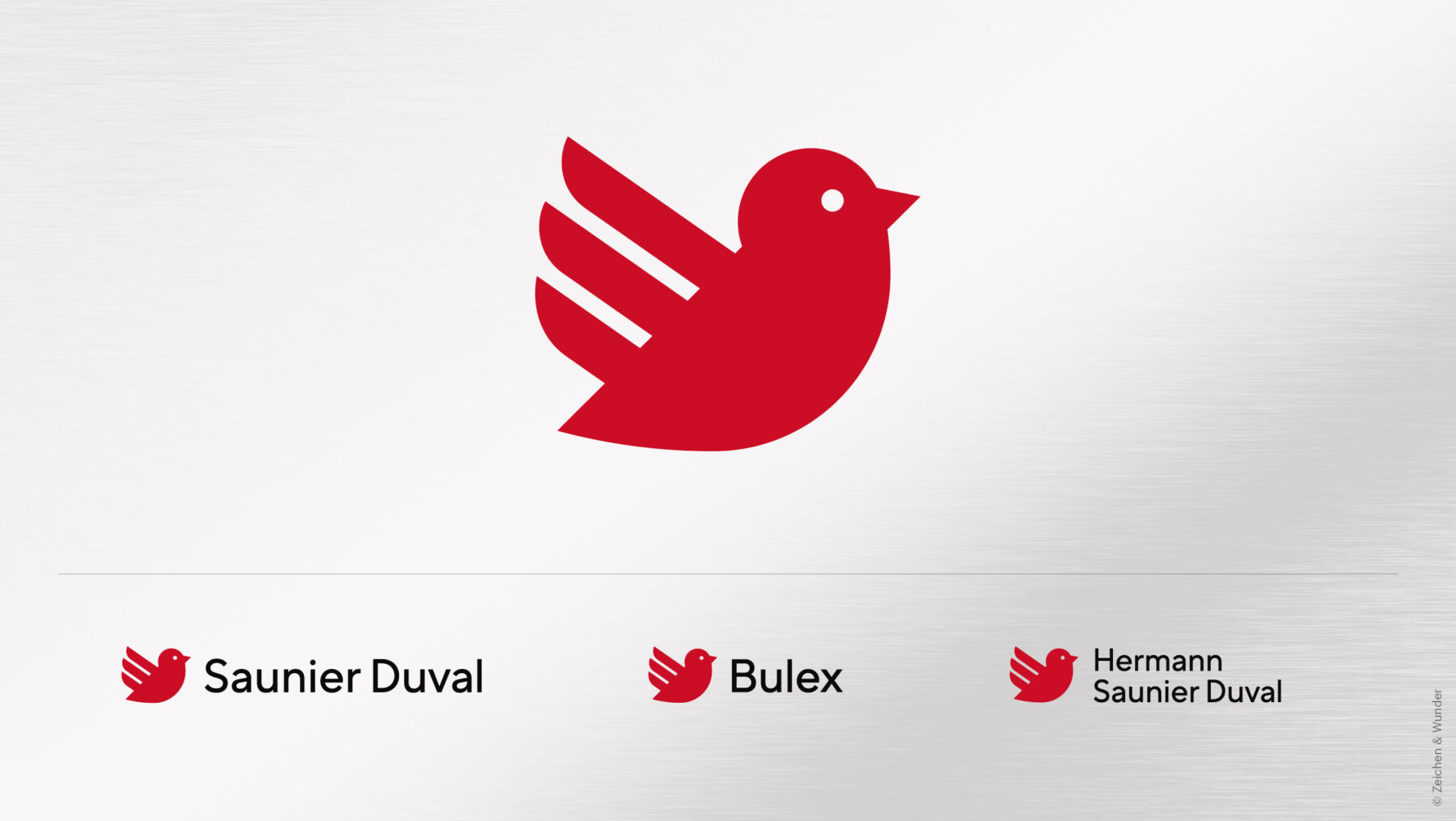 Saunier Duval Brand Group (5)