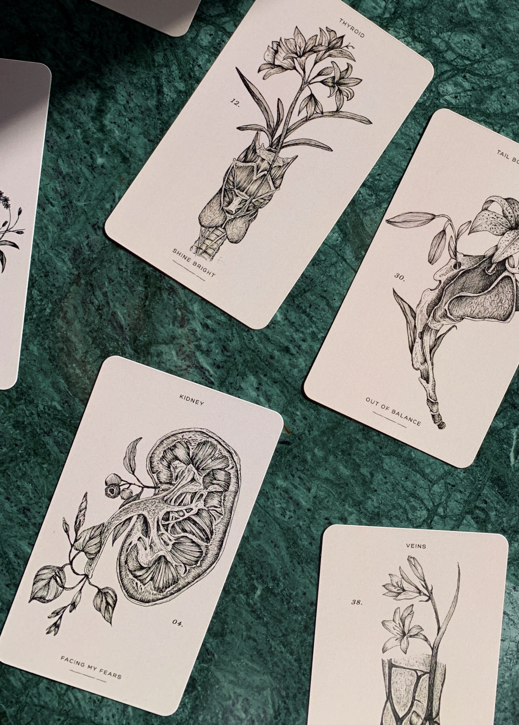 The Anatomy of Healing — Ein Karten Deck für Selbstreflexion (11)