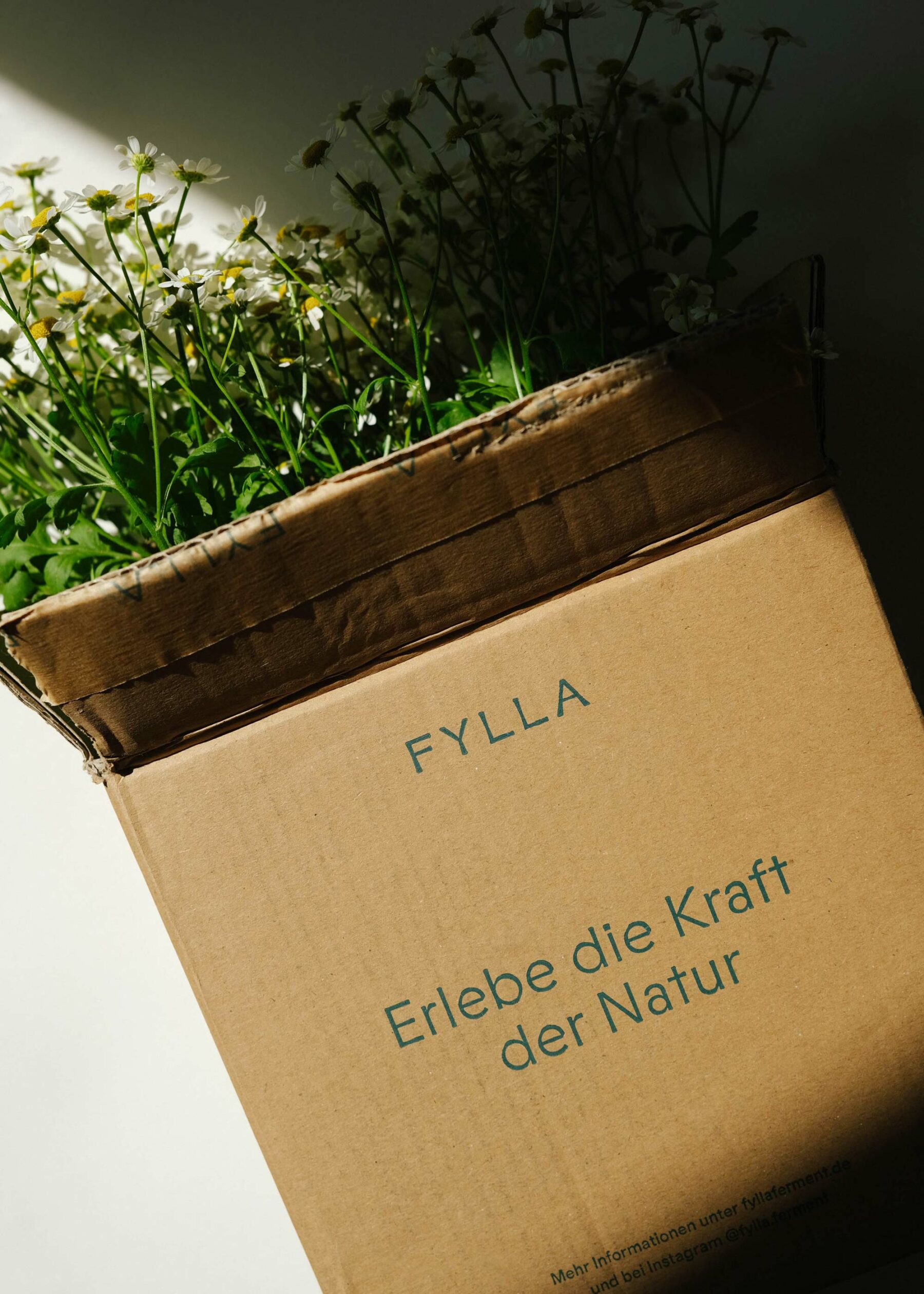 Fylla Kräuterferment (3)