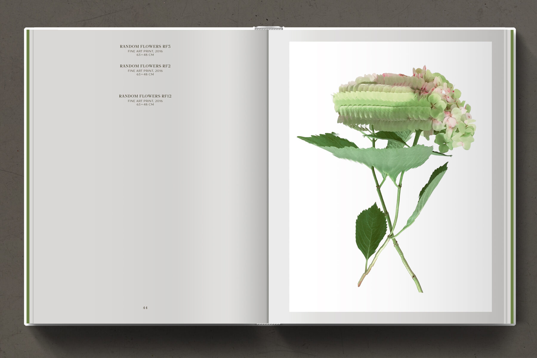 Floral Works by Felix Dobbert (8)
